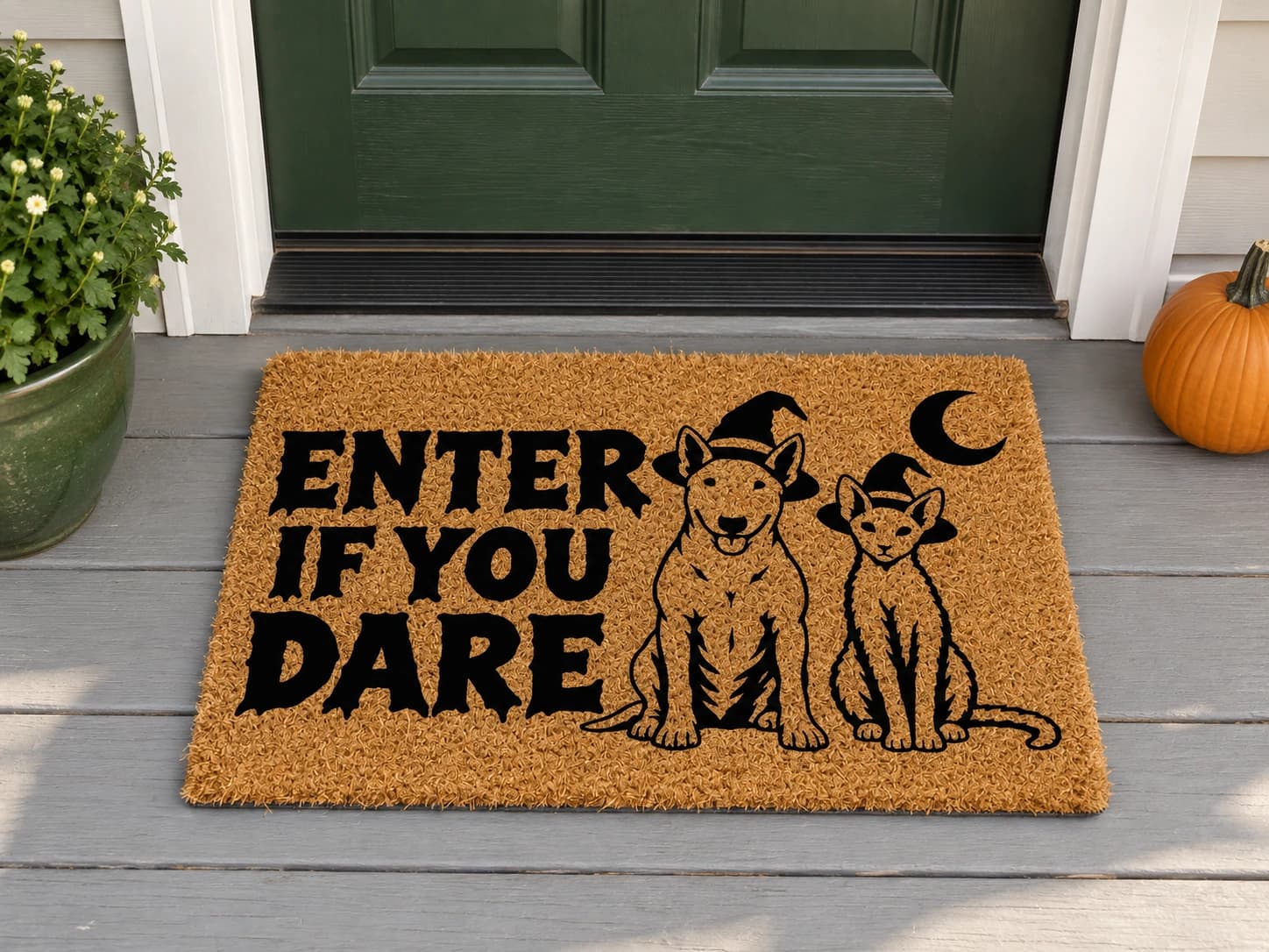 Enter If You Dare coir mat outside a covered front door
